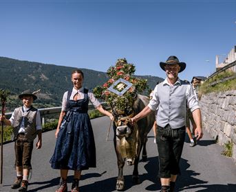 Eine Familie in traditioneller Tracht führt eine dekorierte Kuh auf einem landwirtschaftlichen Weg. Im Hintergrund sind Berge und ein blauer Himmel zu sehen.