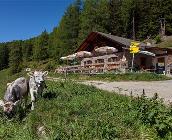 Almsegnung Larcher Alm