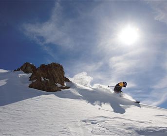 Ein Skifahrer fährt durch frischen Pulverschnee unter einem klaren blauen Himmel. Die Sonne strahlt hell und hebt die winterliche Landschaft hervor.