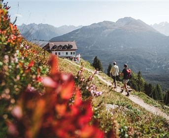 Zwei Wanderer gehen einen malerischen Pfad entlang, umgeben von bunten Blumen und Bergen. Im Hintergrund ist ein gemütliches Gebäude sichtbar.