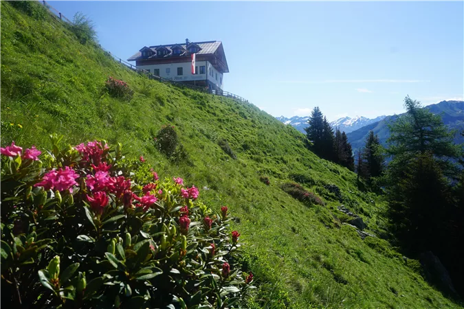 A picturesque house on a green meadow, surrounded by pink flowers. In the background, mountains and a clear blue sky are visible.