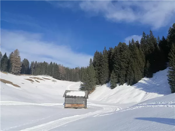 Eine verschneite Landschaft mit einem kleinen Holzhaus und hohen Tannenbäumen. Der Himmel ist klar und blau.