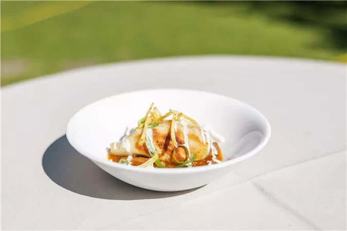 Eine Schüssel mit köstlichen Dumplings, garniert mit Frühlingszwiebeln und einer schmackhaften Soße. Im Hintergrund ist eine grüne Wiese sichtbar.