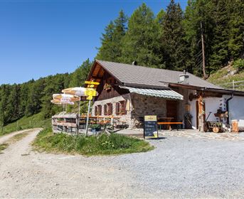 A cozy cabin in nature with a gravel path and adjacent forest. The surroundings are green and sunny.