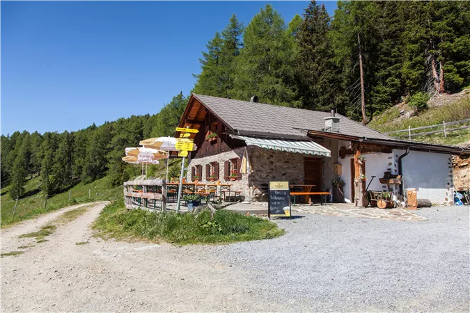 Eine gemütliche Hütte in der Natur mit einem Schotterweg und angrenzendem Wald. Die Umgebung ist grün und sonnig.