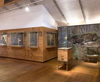Ein moderner Ausstellungsraum mit Holzvitrinen und einer großen Wanddarstellung der Natur. Die Beleuchtung sorgt für eine einladende Atmosphäre.