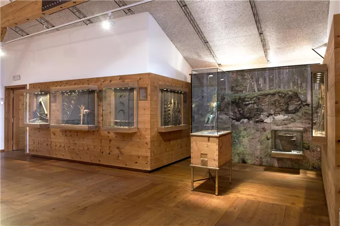 Ein moderner Ausstellungsraum mit Holzvitrinen und einer großen Wanddarstellung der Natur. Die Beleuchtung sorgt für eine einladende Atmosphäre.