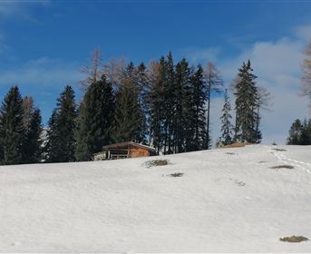 Eine verschneite Landschaft mit einigen Bäumen und einer kleinen Hütte. Der Himmel ist klar und blau.