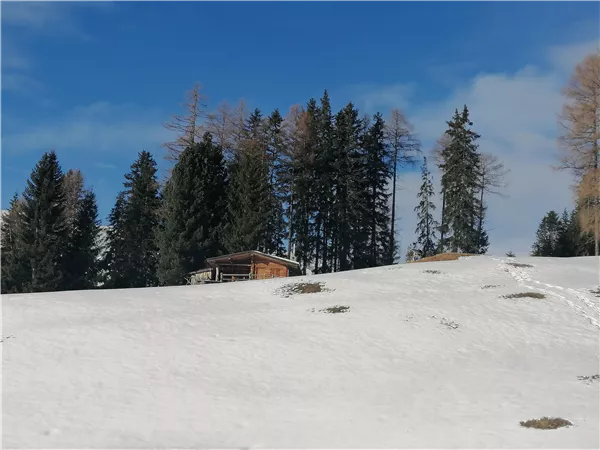 Eine verschneite Landschaft mit einigen Bäumen und einer kleinen Hütte. Der Himmel ist klar und blau.