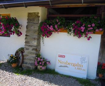 Eine charmante Berghütte mit bunten Blumen an den Fenstern. Das Schild zeigt die Höhe von 1.898 m für Neuberghalm.