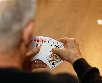 A person is holding hand cards with various game cards in their hands. The table is made of wood, and the scene conveys a relaxed gaming atmosphere.