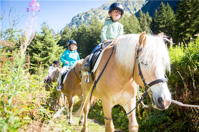 Reiten