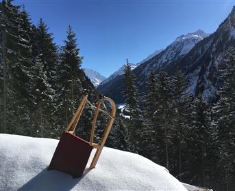 A sled stands in the snow in front of an impressive mountain landscape. The sun is shining, and surrounded by fir trees, a wintry atmosphere is created.