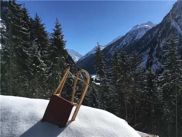 A sled stands in the snow in front of an impressive mountain landscape. The sun is shining, and surrounded by fir trees, a wintry atmosphere is created.