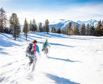 Schneeschuhwandern