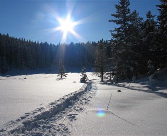 Schneeschuhwandern