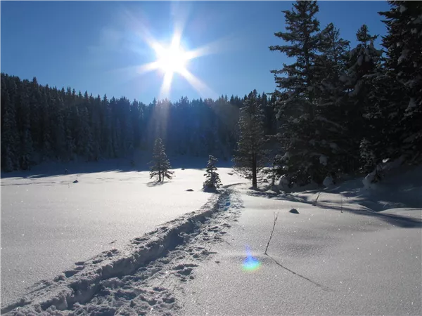 Schneeschuhwandern