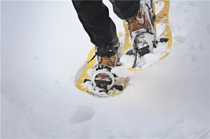 Schneeschuhwanderung