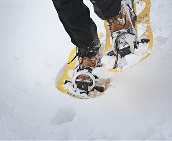Eine Person mit Schneeschuhen steht im tiefen Schnee. Die Schneeschuhe sind gelb und die Umgebung ist winterlich und weiß.