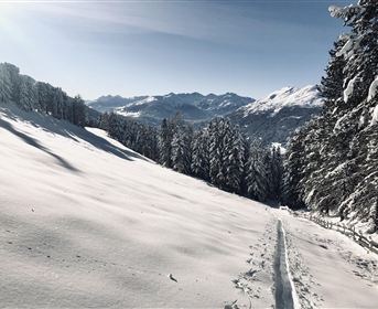 A snowy landscape with snow-covered trees and mountains in the background. The sky is clear and blue, creating a calm winter atmosphere.