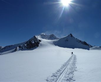 Skitour Wildspitze