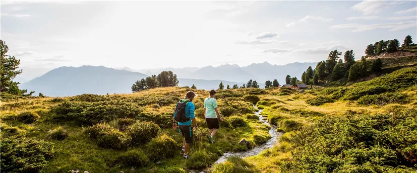 sommer-events-thumorvolles-gipfeltreffen