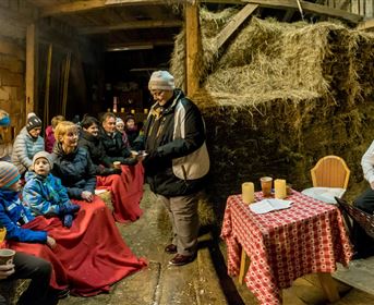 Eine Gruppe von Menschen sitzt in einer warmen, rustikalen Umgebung. Zwei Musiker spielen Akkordeon, während die Zuhörer gespannt zuhören.