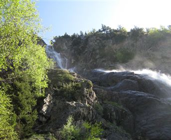 Ein schöner Wasserfall fließt über felsige Klippen. Umgeben von grünen Bäumen und strahlendem Sonnenlicht.
