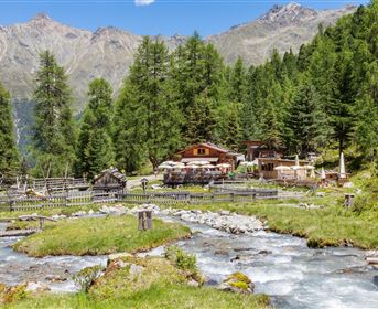 Eine malerische Hochgebirgslandschaft mit grünen Wiesen und dichten Wäldern. Im Hintergrund sind gemütliche Holzhäuser und ein klarer Fluss zu sehen.