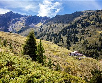 Eine malerische Landschaft mit sanften Hügeln und bewaldeten Bergen. Im Vordergrund steht eine kleine Hütte, umgeben von grüner Vegetation.