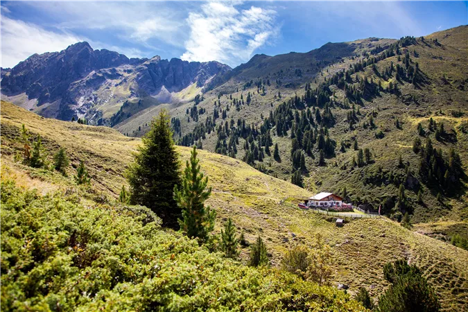 Eine malerische Landschaft mit sanften Hügeln und bewaldeten Bergen. Im Vordergrund steht eine kleine Hütte, umgeben von grüner Vegetation.