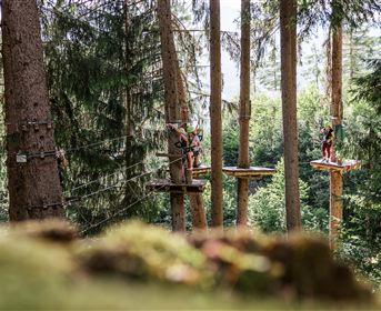 A climbing park in the woods with tall trees and various climbing stations. Visitors balance on platforms between the trees.