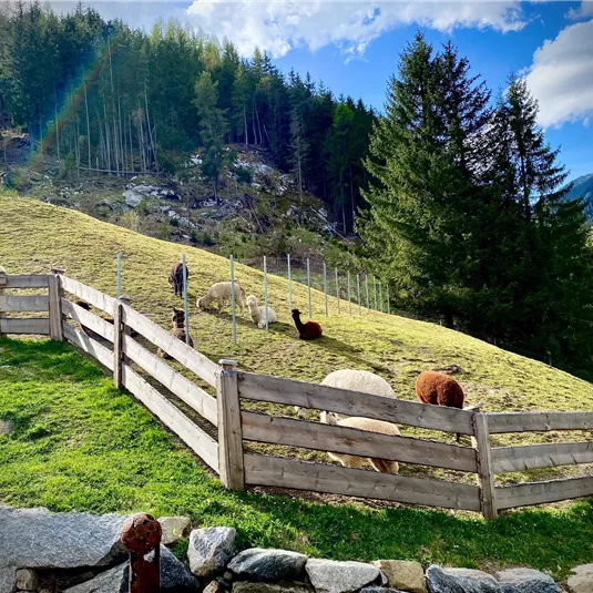 Eine weite Wiese mit schattenspendenden Bäumen und einem Zäunchen. Im Hintergrund grasen einige Tiere, während eine Person in der Nähe arbeitet.