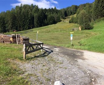 Ein grünes, hügeliges Landschaftsbild mit einem Weg, der zu einem kleinen Holzlager führt. Im Hintergrund sind Bäume und ein klarer blauer Himmel zu sehen.