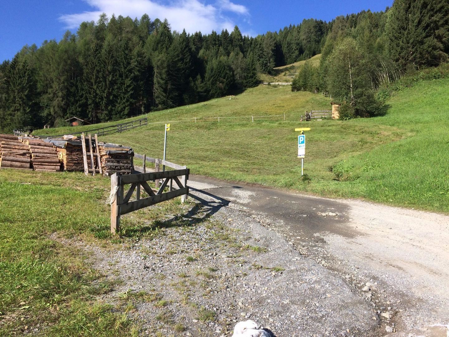 A green, hilly landscape with a path leading to a small woodpile. In the background, there are trees and a clear blue sky.