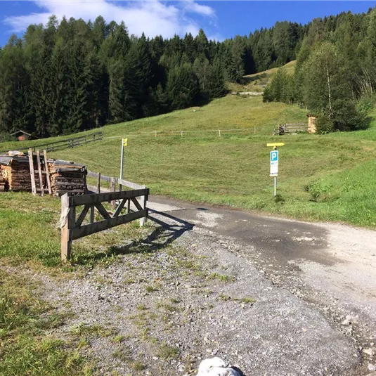A green, hilly landscape with a path leading to a small woodpile. In the background, there are trees and a clear blue sky.