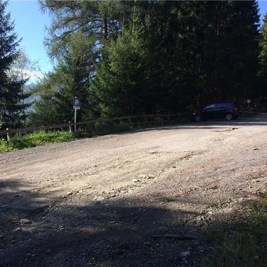A gravel path in a wooded area with tall trees. A silver car is parked at the edge of the path.