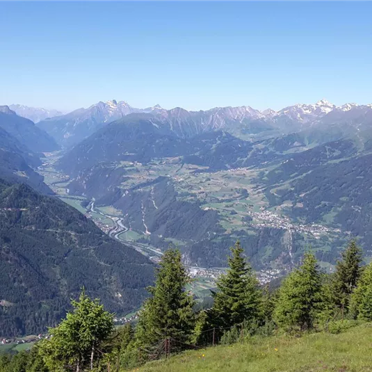 A breathtaking view of an alpine valley with green meadows and mountains. The sky is clear and blue, with snow-capped peaks in the distance.