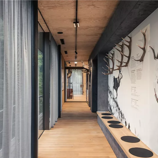 Ein moderner Flur mit Holzfußboden und großen Fenstern. An den Wänden sind dekorative Elemente und Hirschgeweih zu sehen.