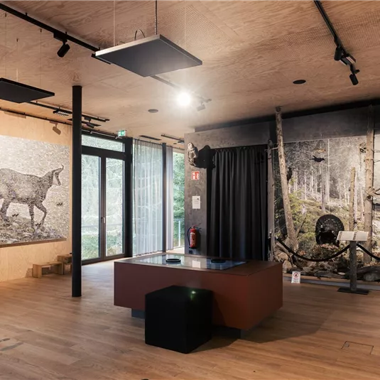 Ein moderner Ausstellungsraum mit Wandbildern von Tieren in der Natur. In der Mitte steht ein Ausstelltisch und große Fenster bieten viel Licht.