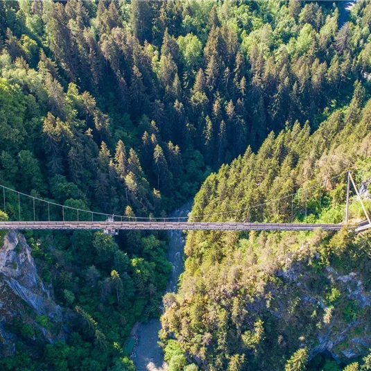 An impressive suspension bridge that swings over a deep forest gorge. Surrounded by green forest and natural beauty.