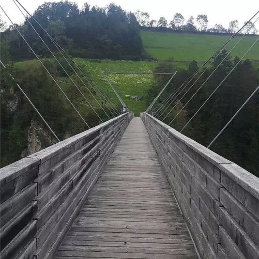 A narrow wooden suspension bridge leads over a valley. In the background, green meadows and trees can be seen.
