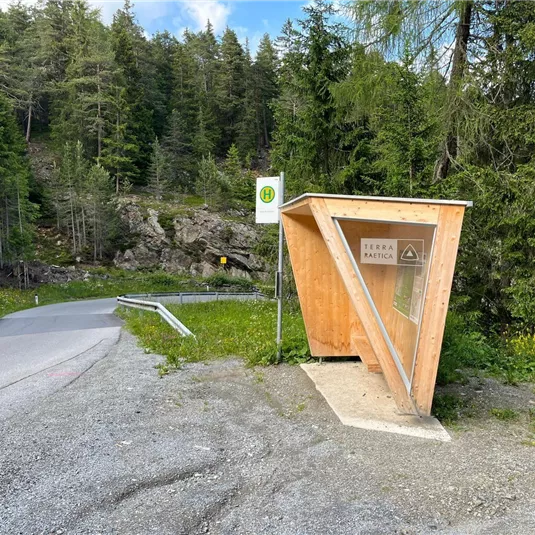 Eine moderne Buswartehalle aus Holz steht am Straßenrand in einer grünen Waldumgebung. Hinter der Haltestelle sind Felsen und hohe Bäume sichtbar.