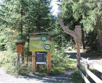 A signpost and an information board in the forest. Surrounded by tall trees and natural landscape.