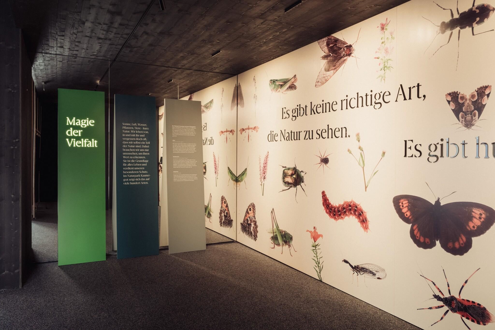 Eine Ausstellung mit dem Titel "Magie der Vielfalt". An den Wänden sind verschiedene Insekten und Pflanzen abgebildet, begleitet von informativen Texten.