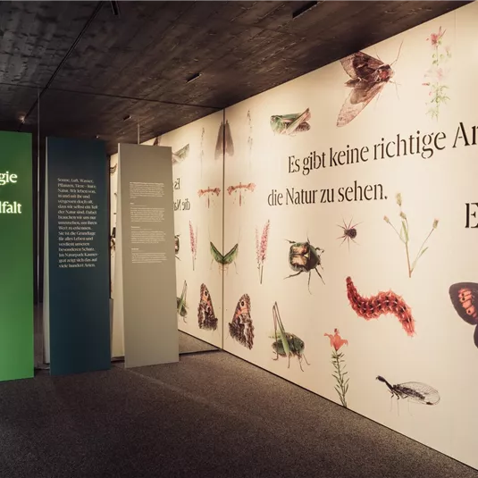 Eine Ausstellung mit dem Titel "Magie der Vielfalt". An den Wänden sind verschiedene Insekten und Pflanzen abgebildet, begleitet von informativen Texten.