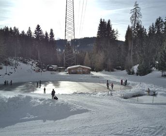 Eislaufen am Fischteich Piller