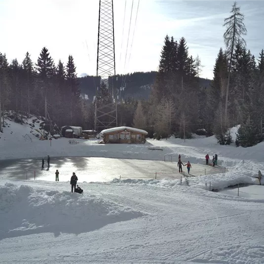 Eislaufen am Fischteich Piller