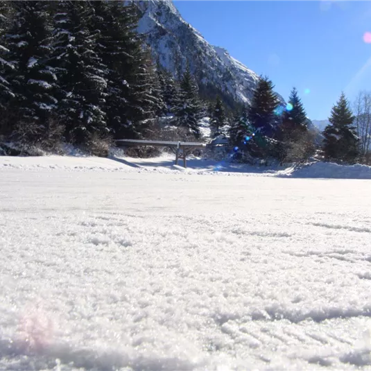 Eine verschneite Landschaft mit schimmerndem Schnee und hohen Bergen im Hintergrund. Die Sonne scheint klar und es sind hohe Tannenbäume zu sehen.