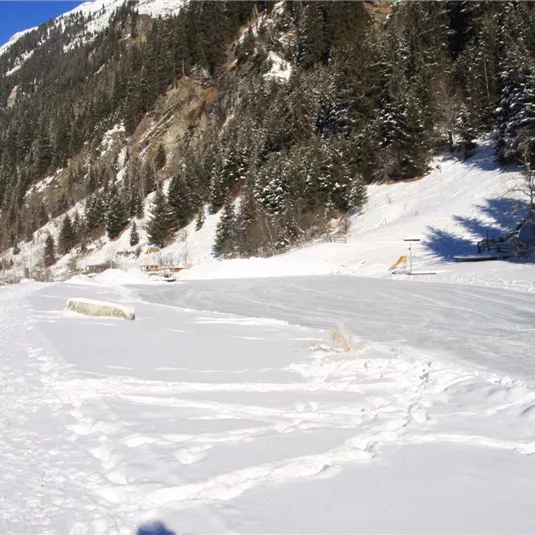 Eine verschneite Landschaft mit hohen Bergen und Tannenbäumen. Die Sonne scheint und der Himmel ist klar und blau.